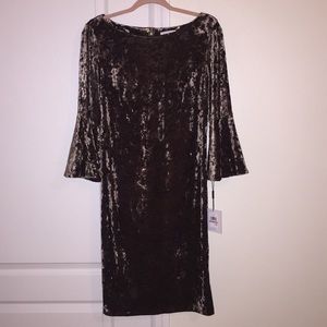 Calvin Klein Velvet Bell Sleeved Dress